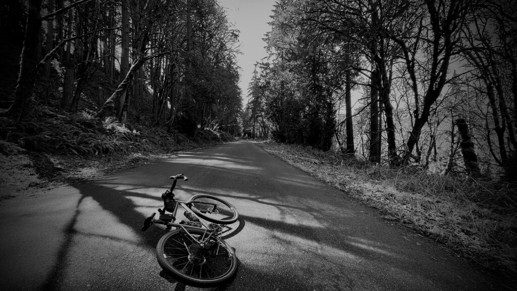 Black and white image of a steilacoom bike company hand-built titanium gravel endurance bike laying on a road with trees on each side